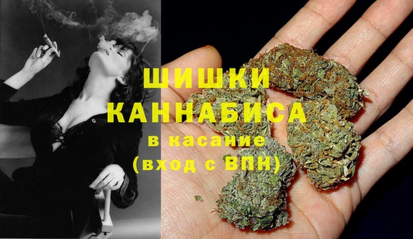 мяу мяу мука Билибино