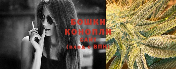 мяу мяу мука Билибино