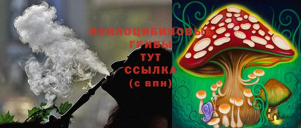 MDMA Верхний Тагил