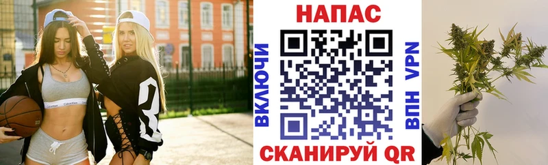 МАРИХУАНА план  продажа наркотиков  Никольское 